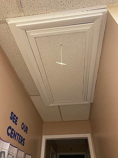Attic Door